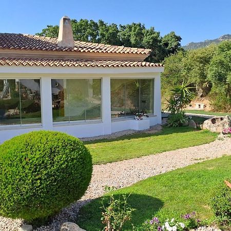 B&B La Chintina サンタントーニオ・ディ・ガッルーラ エクステリア 写真